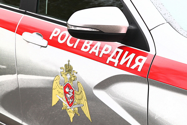 В Запорожской области росгвардеец оказал доврачебную помощь пострадавшему в ДТП