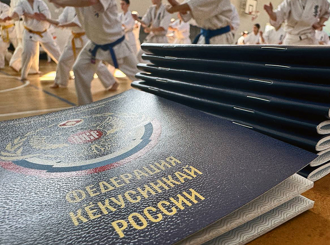 Полномочный представитель Федерации Кёкусинкай России в ЮФО и СКФО провел мастер-класс для каратистов Запорожской области