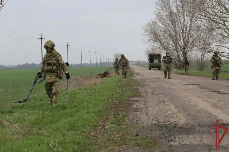 Специалисты инженерных подразделений Росгвардии обезвредили около 4 тысяч взрывоопасных предметов за месяц в зоне СВО