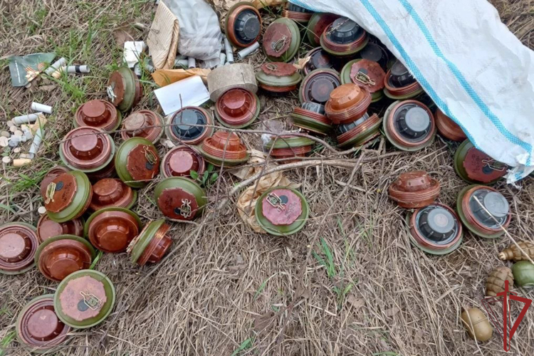 Росгвардейцы проводят комплекс мероприятий по обеспечению безопасности на территории Запорожской и Херсонской областей